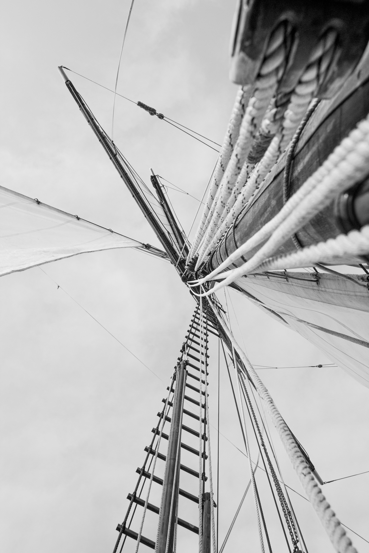 L' Oeil Noir Photographe